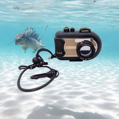 Custodia per fotocamera
