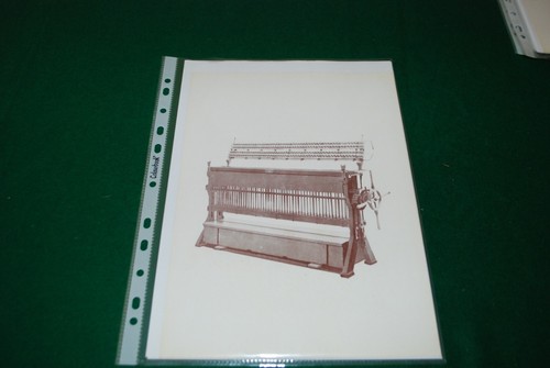 Ditta francesco narrante - francesco,