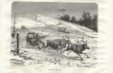 Stampa antica SLITTA CON RENNE