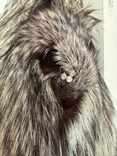 pelliccia volpe argentata