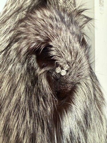Pelliccia volpe argentata - pelliccia,