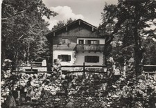 Cartolina Terminillo Villa Barbieri Viaggiata 1955