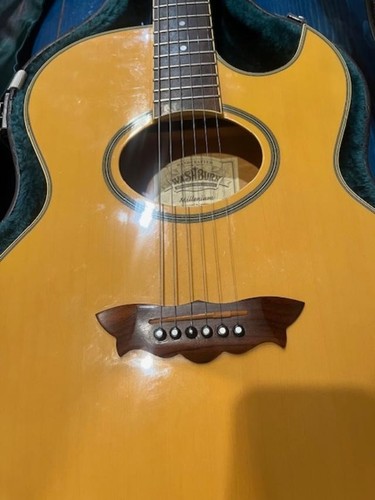 Washburn millenium ea2000 - washburn, am