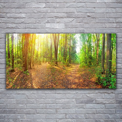 Stampa tela canvas - tela, 120x60