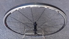 Ruota anteriore  28" bici