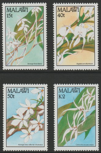 633 orchidee malawi - orchidee, 1990