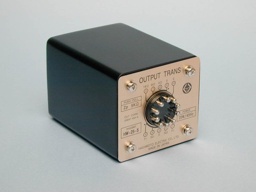 Hashimoto 5 - hashimoto, hw-25-5