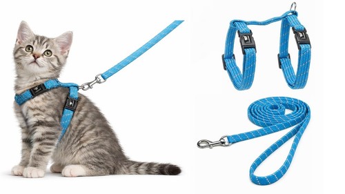 Pettorina gatto gattino - pettorina,