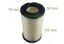 Filtro aria per motore Briggs