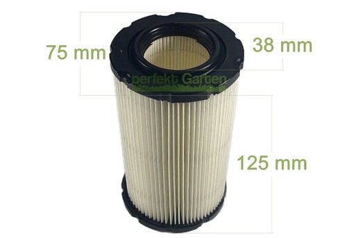 Filtro aria per motore - , briggs
