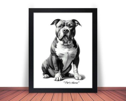 Foto pit bull bully - foto,