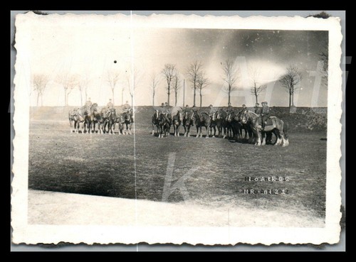 Foto ww2 a - foto,, 10./a.r.129