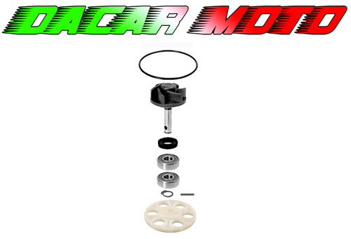 Kit pompa acqua - pompa,