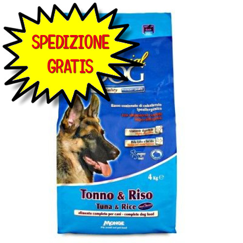 Special dog adult - adult, riso