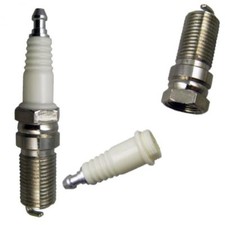 CANDELA CASSAFORTE CASSAFORTE