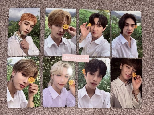 Stray kids noeasy preordine - stray,