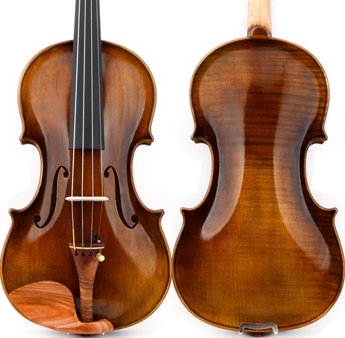 T31 master antico guarnieri - master,