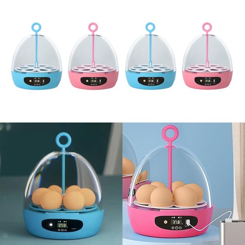 Clear eggs incubator - clear, usb