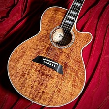 Takamine TSP178ACK N con borsa