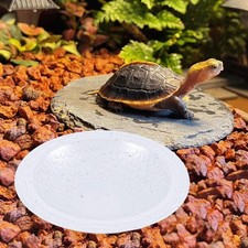 Piscina per Tartarughe