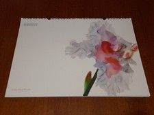 Calendario Pirelli 2004 - NICK KNIGHT 