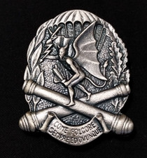 DISTINTIVO 185° RGT