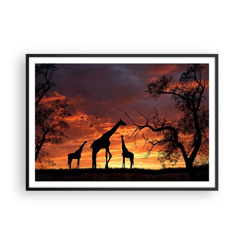Poster 100x70cm giraffa - 100x70cm, africa