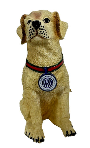 Golden labrador dog american - golden,