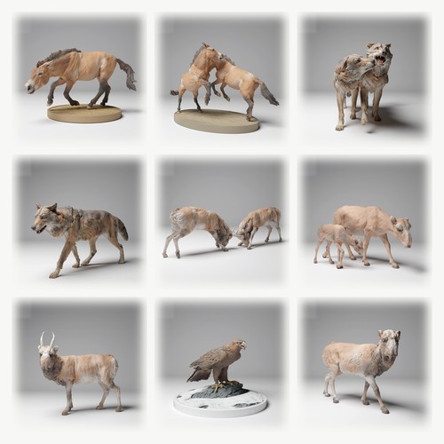 Set figure animali asiatiki - set,