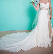 Pronovias Wedding Dress, Veil
