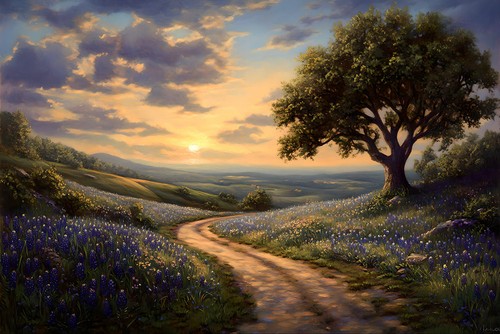 Texas bluebonnets paesaggio - texas,