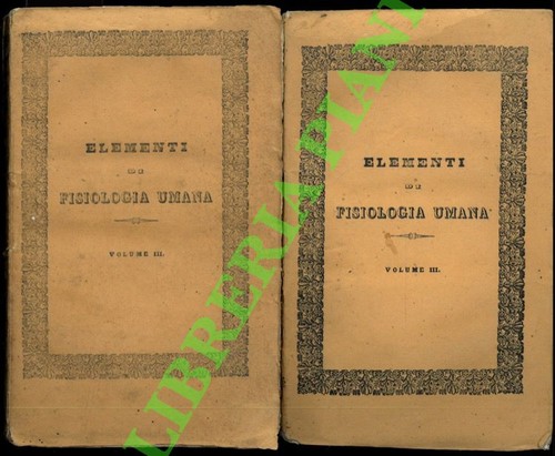Minichini domenico elements - minichini,