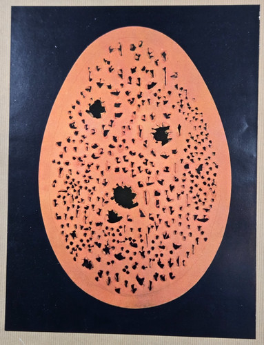 Impression 1970 lucio - impression,