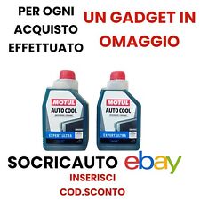 2 Litri Antigelo Concentrato