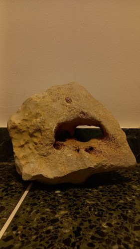 Roccia acquario