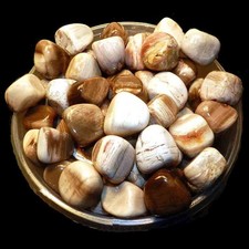 Legno Fossile 500 gr Pietre Dure Burattate Minerali Lavorati Cristalloterapia