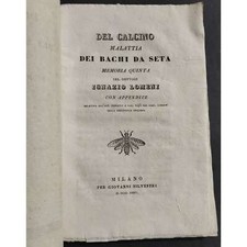 Del Calcino Malattia dei Bachi da Seta - I. Lomeni - 1835