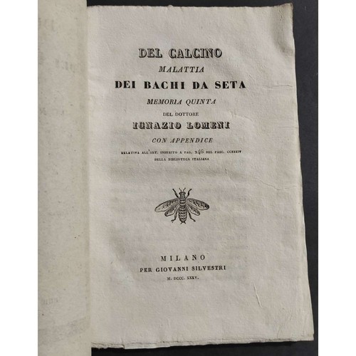 Del calcino malattia dei bachi - calcino,