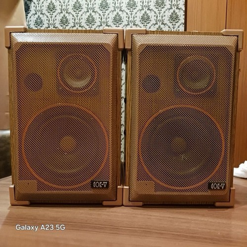 Diatone 301 coppia - a-301?,