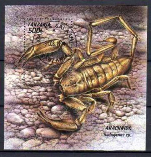 Animali ragni tanzania 1994 - animali,