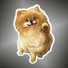 adesivo volpino spitz