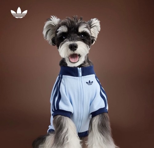 Adidas originals tuta - adidas,