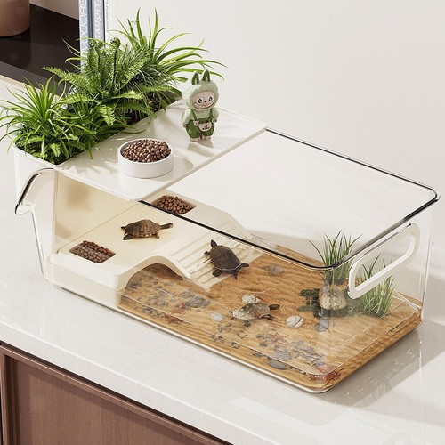 Acquario per tartarughe