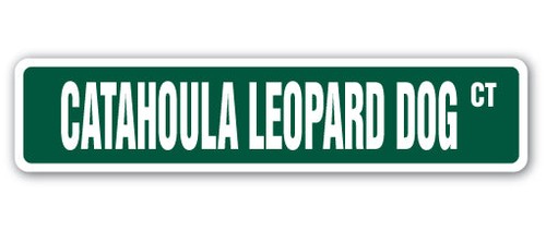 Catahoula cane leopardo - catahoula,