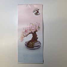 Bonsai di Ciliegio Libretto