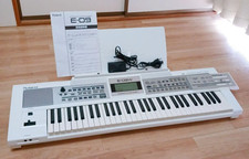 Roland E-09W 61 tasti arranger