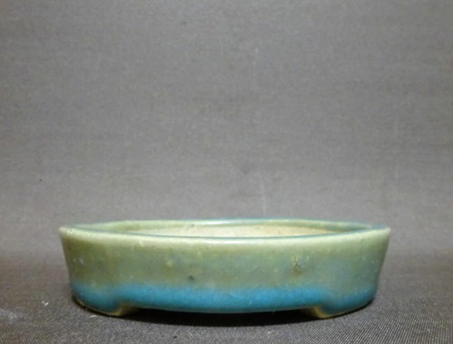 Vaso per bonsai giapponese