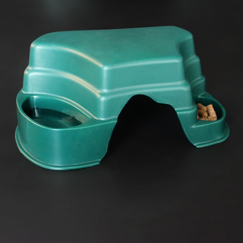 Grotta dei rettili - dei, accessori