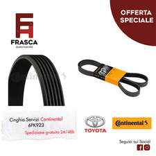 Cinghia Servizi Poly-V