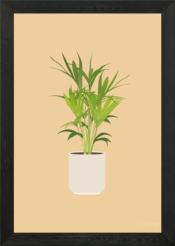 Kentia palm illustrazione - palm,